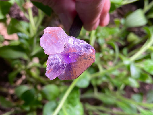 BOGO Reading - Two Readings Within a Six Month Period - A Great Follow-up